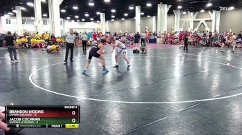 126 lbs Round 3 (10 Team) - Brandon Higgins, Camden Greasers vs Jacob Cochran, Naperville Phoenix