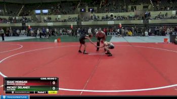 95 lbs Cons. Round 3 - Mickey Delaney, Elk River vs Isaac Morgan, Baldwin-Woodville