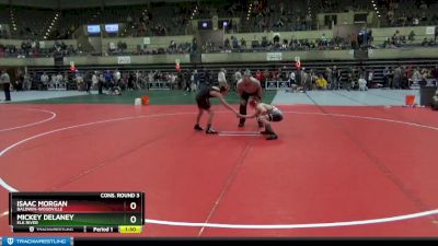 95 lbs Cons. Round 3 - Mickey Delaney, Elk River vs Isaac Morgan, Baldwin-Woodville