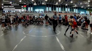 80-84 lbs Cons. Semi - Wesley Vincent, Warhawks vs Cameron Steiner, Project Destiny Wrestling Club