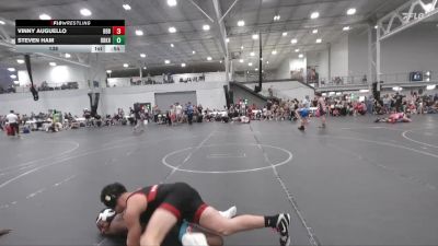 138 lbs Round 3 (6 Team) - Vinny Auguello, Barn Brothers BlueWave vs Steven Ham, Team Darkhorse