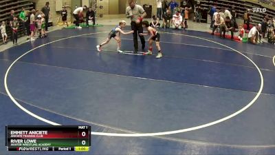 51 lbs Semifinal - Emmett Aniciete, Aniciete Training Club vs River Lowe, Aviator Wrestling Academy