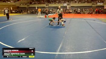 55 lbs Semis (4 Team) - Dawson Herron, Brainerd vs Kenley Kierstead-Hahn, Paynesville