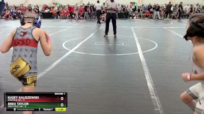 48 lbs Round 1 (6 Team) - Kasey Kaliszewski, Donahue WA vs Brex Taylor, Ohio Gold 24K