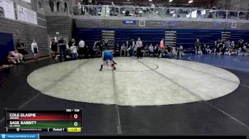 106 lbs Champ. Round 1 - Cole Glaspie, Weiser vs Sage Babbitt, Lil Mavs