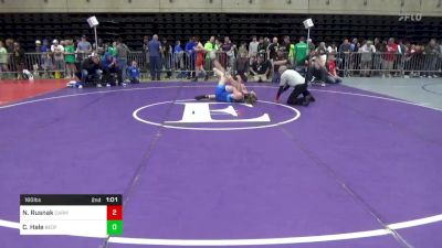 160 lbs Quarterfinal - Nikita Rusnak, Carmel vs Cuyler Hale, Bedford