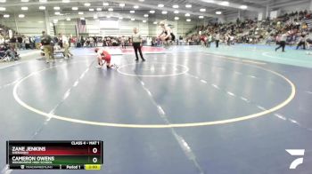 4-157 lbs Quarterfinal - Zane Jenkins, Sherando vs Cameron Owens, Woodgrove High School