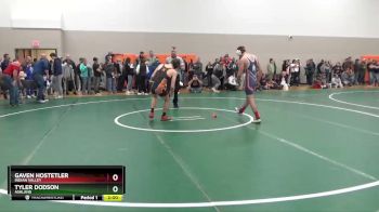 138 lbs Champ. Round 2 - Gaven Hostetler, Indian Valley vs Tyler Dodson, Ashland