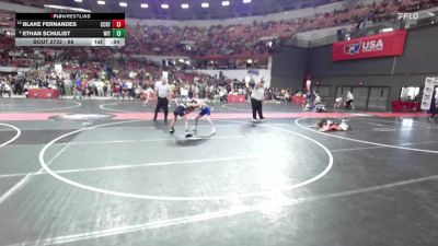 88 lbs Cons. Round 4 - Ethan Schulist, Wittenberg-Birnamwood vs Blake Fernandes, Alber Athletics Wrestling Club