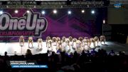 Dance Mania Nashville - Junior Lyrical Large [2025 Junior - Contemporary/Lyrical - Large Day 3] 2025 One Up Grand Nationals