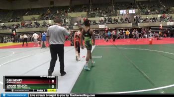 120 lbs Quarterfinal - Cam Henry, Moorhead Magic vs Danan Nelson, Rochester John Marshall