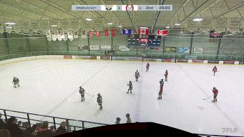 Replay: Home - 2024 CRAA Gold U13 vs CBHA Hawks U13 | Dec 16 @ 7 PM