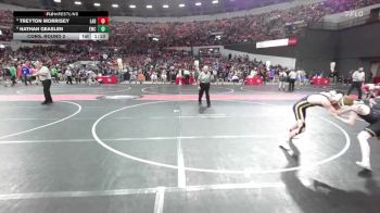 135 lbs Cons. Round 2 - Nathan Geaslen, Elkhorn Wrestling Club vs Treyton Morrisey, Ladysmith