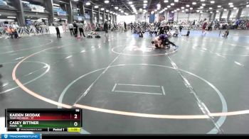 96 lbs Rd# 7- 10:45am Saturday Final Pool - Casey Bittner, POWA vs Kaiden Skodak, Team Michigan