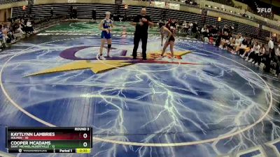 118 lbs Round 3 (4 Team) - Cecilia Tregaskis, Saint Michael/Albertville vs Haley Dezelske, Holmen