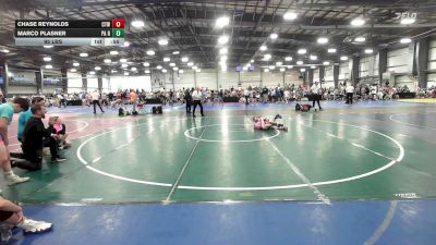 95 lbs Rr Rnd 1 - Chase Reynolds, CTWHALE Orca - MS vs Marco Plasner, PA Revival - MS
