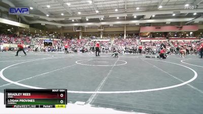 64 lbs Quarterfinal - Bradley Rees, WWC vs Logan Provines, Carroll