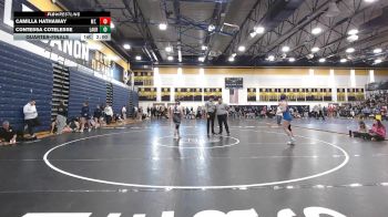 155 lbs Quarterfinal - Camilla Hathaway, Mt. Lebanon vs Contessa Cotelesse, Laurel