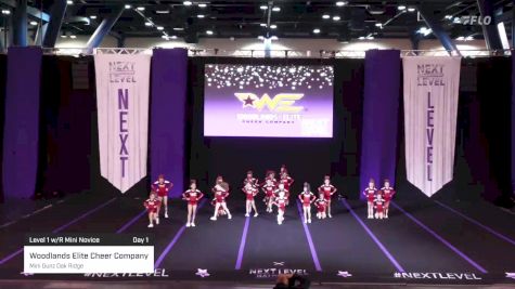 Woodlands Elite Cheer Company - Mini Gunz Oak Ridge [2023 Level 1 w/R Mini Novice Day 1] 2023 Next Level Nationals-Houston