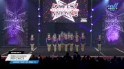 Pride of Illinois - Psychics [2025 L1 Youth - D2 - Small - C Day 2] 2025 JAMfest Cheer Super Nationals