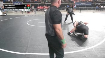 D 3 215 lbs 1st Place Match - Caleb Preece, Rosepine vs William Hall, John Curtis Christian