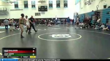 132 lbs Champ. Round 1 - Shay Davis, Fossil Ridge vs Alex Gallegos, South