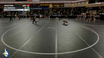 115 lbs Champ. Round 1 - Ava Hendricks, South Tama vs Ariana Hurd, Liberty