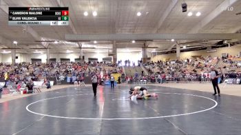 A 132 lbs Cons. Round 1 - Elvis Valencia, Greenbrier High School vs Cameron Malone, David Crockett High School