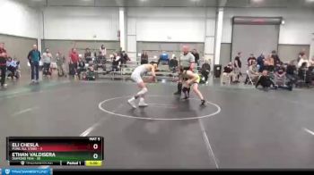 100 lbs Finals (2 Team) - Ethan Valdisera, Diamond Fish vs Eli Chesla, MJWL All Stars