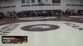 184 lbs Semifinal - Brandon Tessau, UW - Platteville vs Isaac Gust, UW - La Crosse