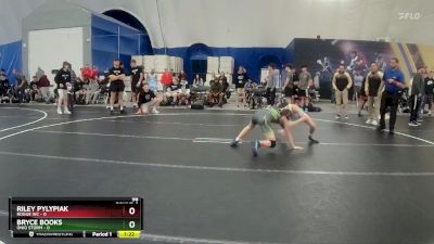 98 lbs Round 6 (8 Team) - Bryce Books, Ohio Storm vs Riley Pylypiak, Rogue WC