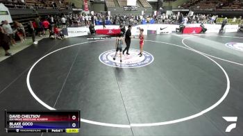 83 lbs Cons. Round 3 - David Cheltsov, Elk Grove Wrestling Academy vs Blake Goco, California