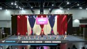 Biron Elite Cheer - Zebra Sharks [2021 L1 Youth - D2 - Small Day 1] 2021 The American Spectacular DI & DII