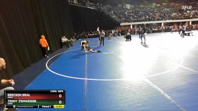 98 lbs Cons. Semi - Teddy Zwanziger, Iowa vs Brecken Bral, Iowa