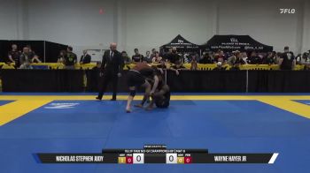 Wayne Hayer Jr vs Nicholas Stephen Judy 2026 Pan IBJJF Jiu-Jitsu No-Gi Championship