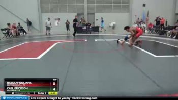 138 lbs Quarters & 1st Wb (16 Team) - Hassan Williams, South Carolina vs Cael Erickson, Wisconsin