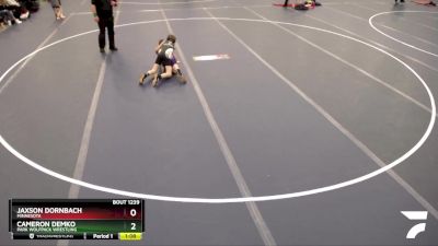 76-85 lbs Cons. Round 1 - Cameron Demko, Park Wolfpack Wrestling vs Jaxson Dornbach, Minnesota