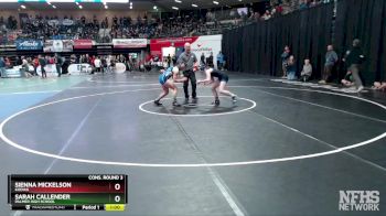 126G Cons. Round 3 - Sarah Callender, Palmer High School vs SIENNA MICKELSON, Kodiak