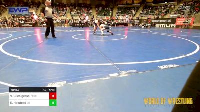 100 lbs Round Of 16 - Vincenzo Buccigrossi, Franklin Regional vs Ethan Halstead, Darkhorse