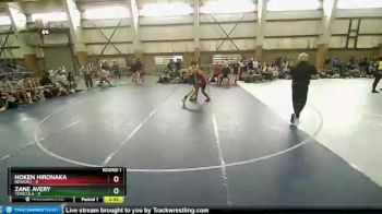 126 lbs Round 1 (10 Team) - Hoken Hironaka, NEVADA2 vs Zane Avery, Temecula