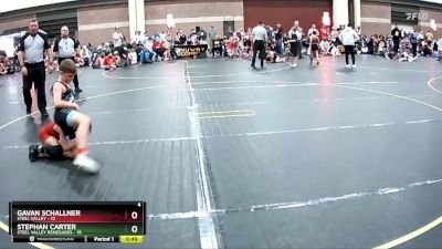 95 lbs Finals (2 Team) - Gavan Schallner, Steel Valley vs Stephan Carter, Steel Valley Renegades