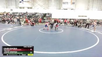 94 lbs Cons. Round 1 - Logan Dingman, North Tonawanda Wrestling Club vs Caleb Vivacqua, New Hartford / Sauquoit Youth Wrestling