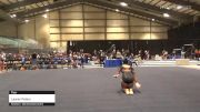 Lauren Peters - Floor - 2020 Buckeye Classic