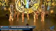 Dancin Bluebonnets - Small Jazz [2020 Junior - Jazz - Small Day 1] 2020 Encore Championships: Houston DI & DII