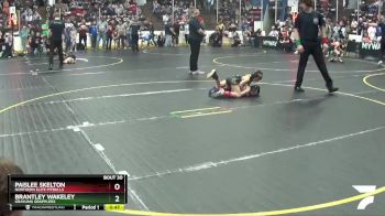 49 lbs Cons. Round 1 - Brantley Wakeley, Grayling Grapplers vs Paislee Skelton, Northern Elite Pitbulls