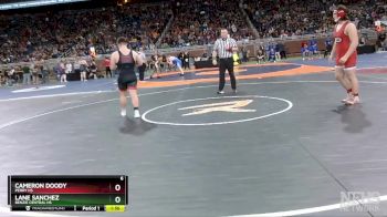 D4-215 lbs Quarterfinal - Cameron Doody, Perry HS vs Lane Sanchez, Benzie Central HS