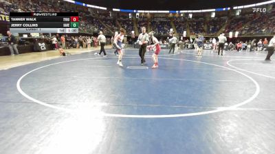 89 lbs Consy 1 - Tanner Walk, Tyrone vs Jerry Collins, Haverford