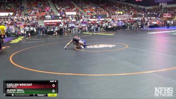 100 lbs Quarterfinal - Caellen Wescoat, Fort Scott vs Alexis Wall, Towanda-Circle HS