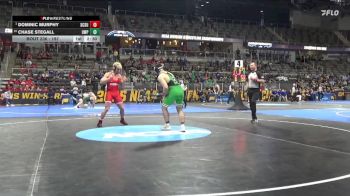 197 lbs Cons. Round 2 - Chase Stegall, Wis.-Parkside vs Dominic Murphy, St. Cloud St.