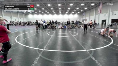 150 lbs Rr Rnd 2 - Dean Velez, Scorpions NJ - EL vs Cole Organiscak, Tri State Hammers - EL